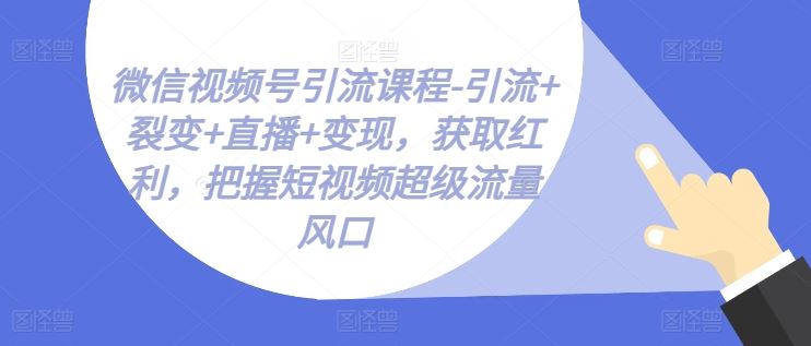 微信视频号引流课程-引流+裂变+直播+变现，获取红利，把握短视频超级流量风口-九才资源网