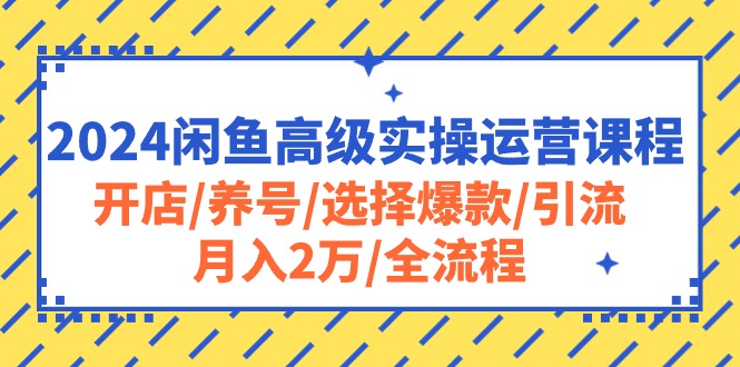 （10711期）2024闲鱼高级实操运营课程：开店/养号/选择爆款/引流/月入2万/全流程-九才资源网