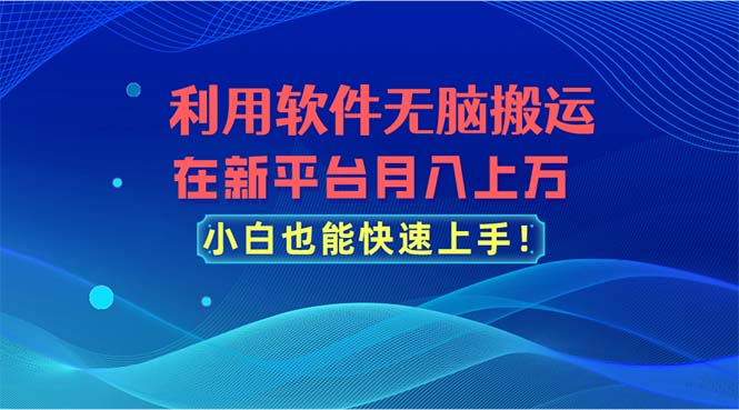 （11078期）利用软件无脑搬运，在新平台月入上万，小白也能快速上手-九才资源网