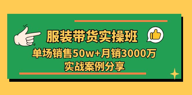 （11071期）服装带货实操培训班：单场销售50w+月销3000万实战案例分享（27节）-九才资源网