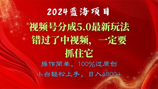 （11032期）2024蓝海项目，视频号分成计划5.0最新玩法，错过了中视频，一定要抓住…-九才资源网