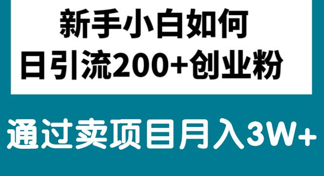 （10843期）新手小白日引流200+创业粉,通过卖项目月入3W+-九才资源网