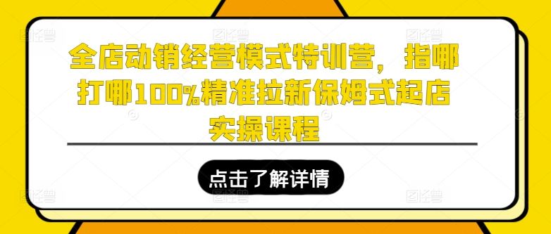 全店动销经营模式特训营，指哪打哪100%精准拉新保姆式起店实操课程-九才资源网