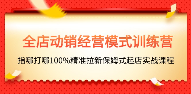 （11460期）全店动销-经营模式训练营，指哪打哪100%精准拉新保姆式起店实战课程-九才资源网
