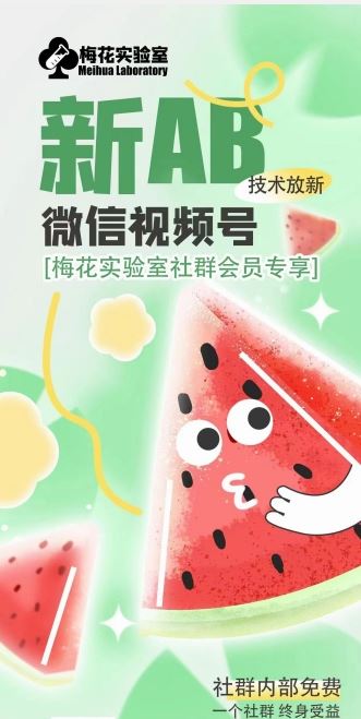 梅花实验室2024年AB技术视频号AB合成破解版-九才资源网