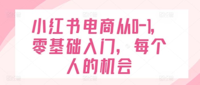 小红书电商从0-1，零基础入门，每个人的机会-九才资源网
