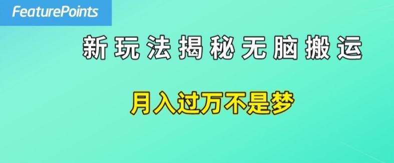 简单操作，每天50美元收入，搬运就是赚钱的秘诀【揭秘】-九才资源网