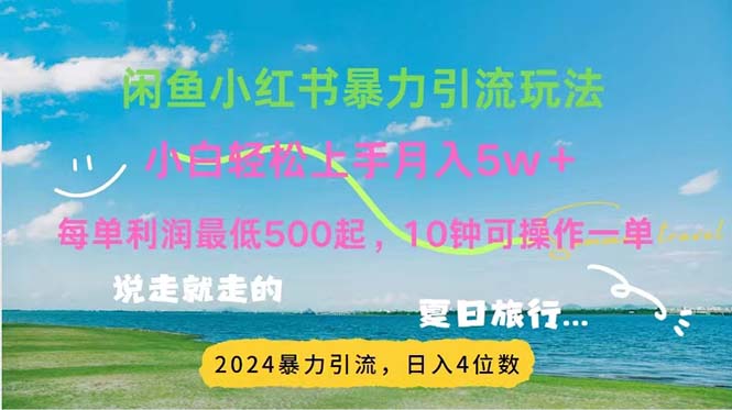 （11650期）2024暑假赚钱项目小红书咸鱼暴力引流，简单无脑操作，每单利润500+，…-九才资源网