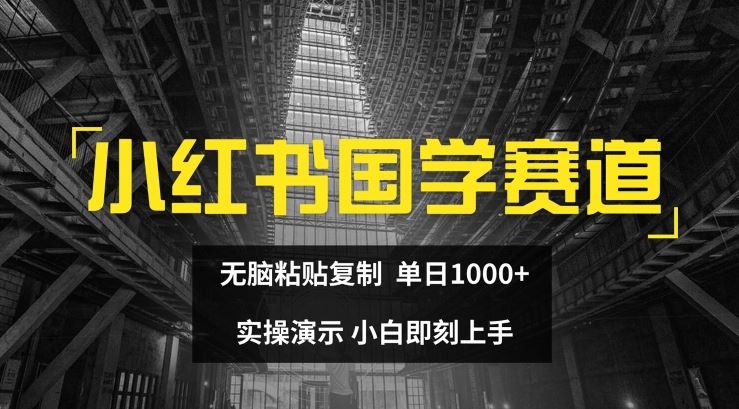 小红书国学赛道，无脑粘贴复制，单日1K，实操演示，小白即刻上手【揭秘】-九才资源网