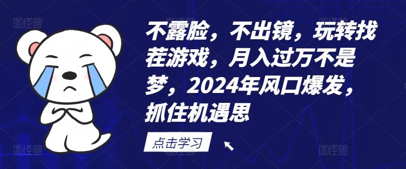 不露脸，不出镜，玩转找茬游戏，月入过万不是梦，2024年风口爆发，抓住机遇【揭秘】-九才资源网