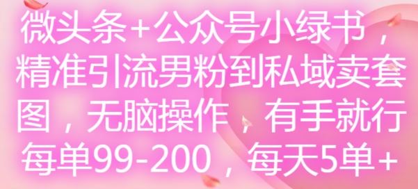 微头条+公众号小绿书，精准引流男粉到私域卖套图，无脑操作，有手就行，每单99-200，每天5单-九才资源网