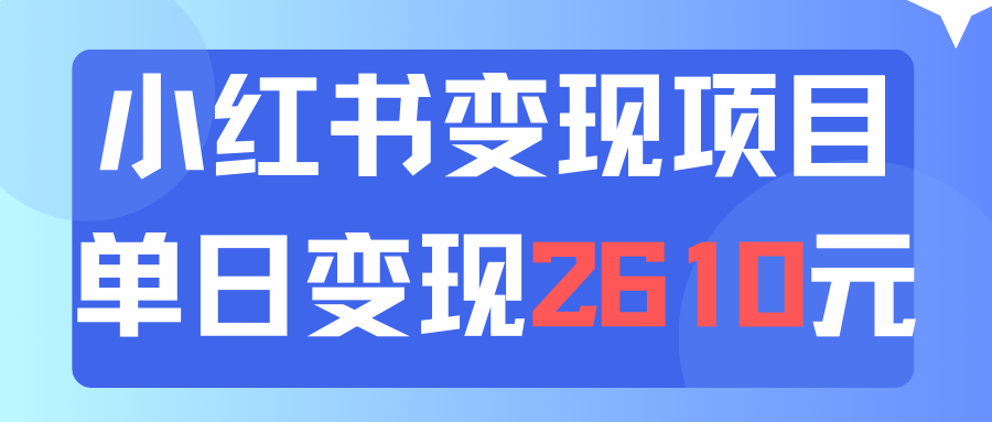 （11885期）利用小红书卖资料单日引流150人当日变现2610元小白可实操（教程+资料）-九才资源网
