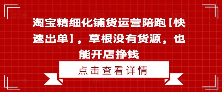 淘宝精细化铺货运营陪跑【快速出单】，草根没有货源，也能开店挣钱-九才资源网