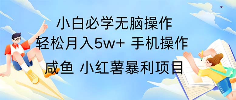 （11953期）2024热门暴利手机操作项目，简单无脑操作，每单利润最少500-九才资源网