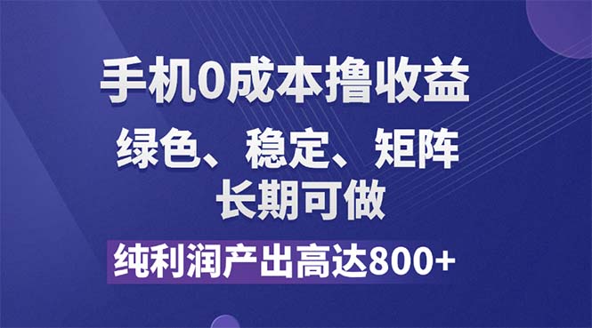 （11976期）纯利润高达800+，手机0成本撸羊毛，项目纯绿色，可稳定长期操作！-九才资源网