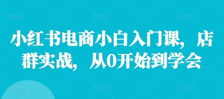 小红书电商小白入门课，店群实战，从0开始到学会-九才资源网