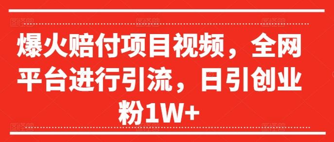 爆火赔付项目视频，全网平台进行引流，日引创业粉1W+【揭秘】-九才资源网