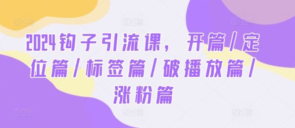 2024钩子引流课，开篇/定位篇/标签篇/破播放篇/涨粉篇-九才资源网