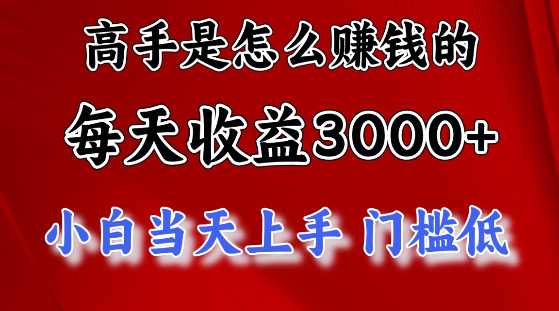 （12144期）1天收益3000+，月收益10万以上，24年8月份爆火项目-九才资源网