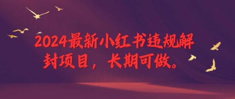 2024最新小红书违规解封项目，长期可做，一个可以做到退休的项目【揭秘】-九才资源网