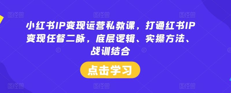 小红书IP变现运营私教课，打通红书IP变现任督二脉，底层逻辑、实操方法、战训结合-九才资源网