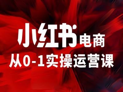 小红书电商从0-1实操运营课，让你从小白到精英-九才资源网