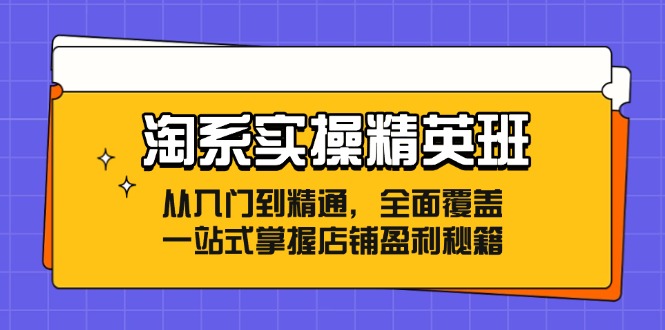 （12276期）淘系实操精英班：从入门到精通，全面覆盖，一站式掌握店铺盈利秘籍-九才资源网