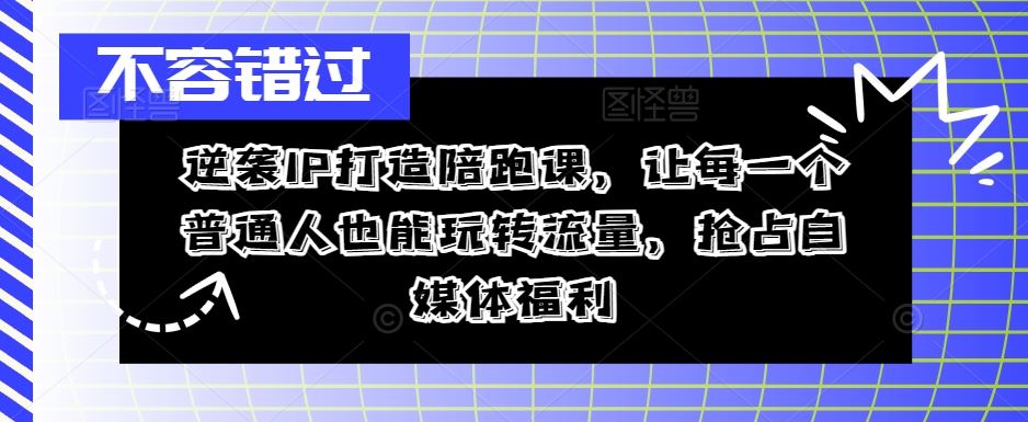 逆袭IP打造陪跑课，让每一个普通人也能玩转流量，抢占自媒体福利-九才资源网