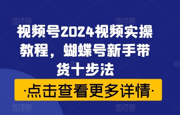 视频号2024视频实操教程，蝴蝶号新手带货十步法-九才资源网