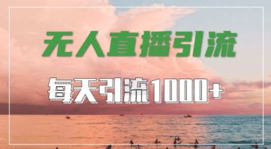 抖音快手视频号全平台通用，无人直播引流法，超暴力引流1000+高质量精准创业粉【揭秘】-九才资源网