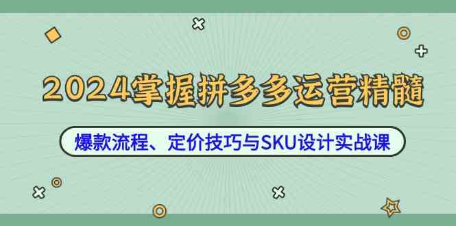 2024掌握拼多多运营精髓：爆款流程、定价技巧与SKU设计实战课-九才资源网
