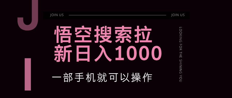 （12717期）悟空搜索类拉新 蓝海项目 一部手机就可以操作 教程非常详细-九才资源网