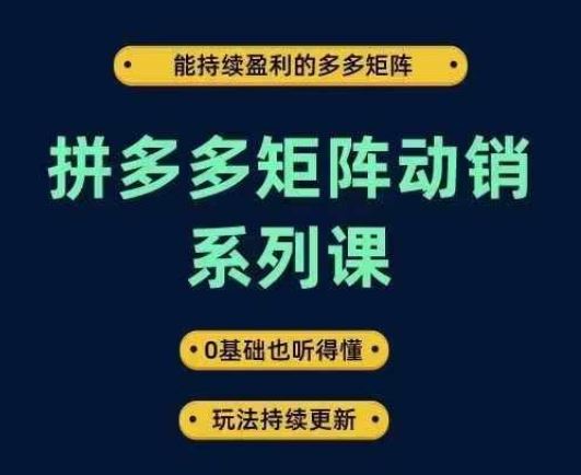 拼多多矩阵动销系列课，能持续盈利的多多矩阵，0基础也听得懂，玩法持续更新-九才资源网