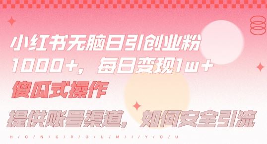 小红书无脑每日引流创业粉500+，小白每天只花半小时，躺赚长尾收益【揭秘】-九才资源网