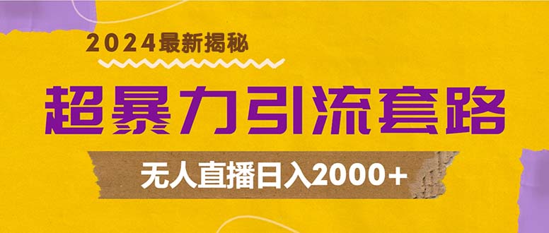 （12800期）超暴力引流套路，无人直播日入2000+-九才资源网