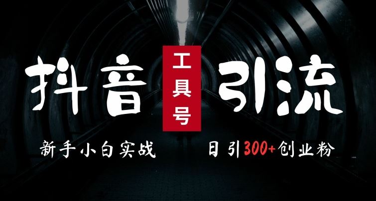 2024最新抖音工具号引流玩法，高效日引300+创业粉，当天变现5k，小白也可成为实战高手-九才资源网