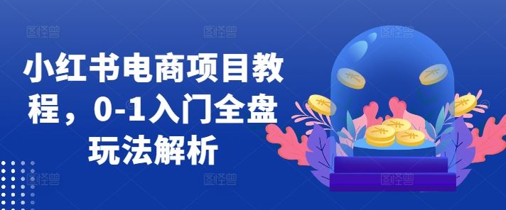小红书电商项目教程，0-1入门全盘玩法解析-九才资源网