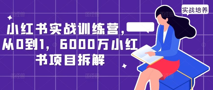 小红书实战训练营，从0到1，6000万小红书项目拆解-九才资源网
