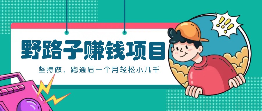 一个人就能操作的野路子赚钱项目，零成本零门槛坚持做，跑通后一个月小几千！-九才资源网