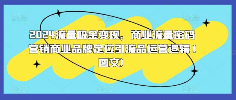 2024流量吸金变现，商业流量密码营销商业品牌定位引流品运营逻辑(图文)-九才资源网