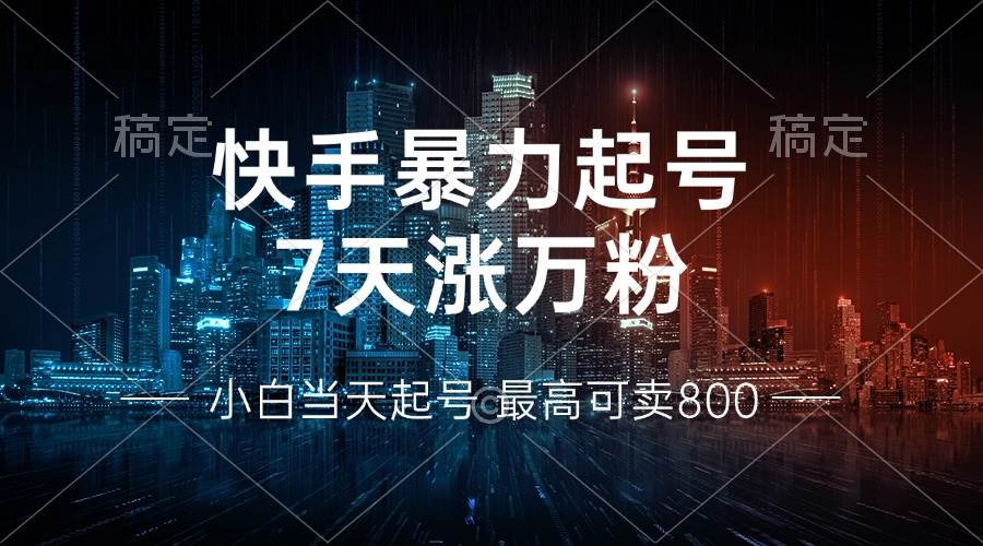 （13142期）快手暴力起号，7天涨万粉，小白当天起号 多种变现方式，账号回收，单月…-九才资源网