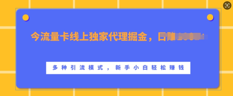 流量卡线上独家代理掘金，日入1k+ ，多种引流模式，新手小白轻松上手【揭秘】-九才资源网