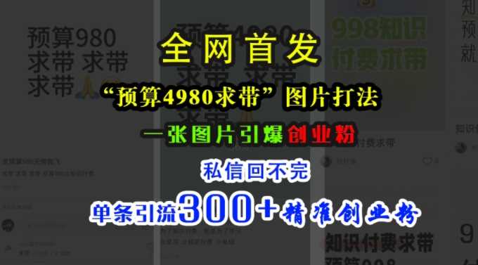 小红书“预算4980带我飞”图片打法，一张图片引爆创业粉，私信回不完，单条引流300+精准创业粉-九才资源网