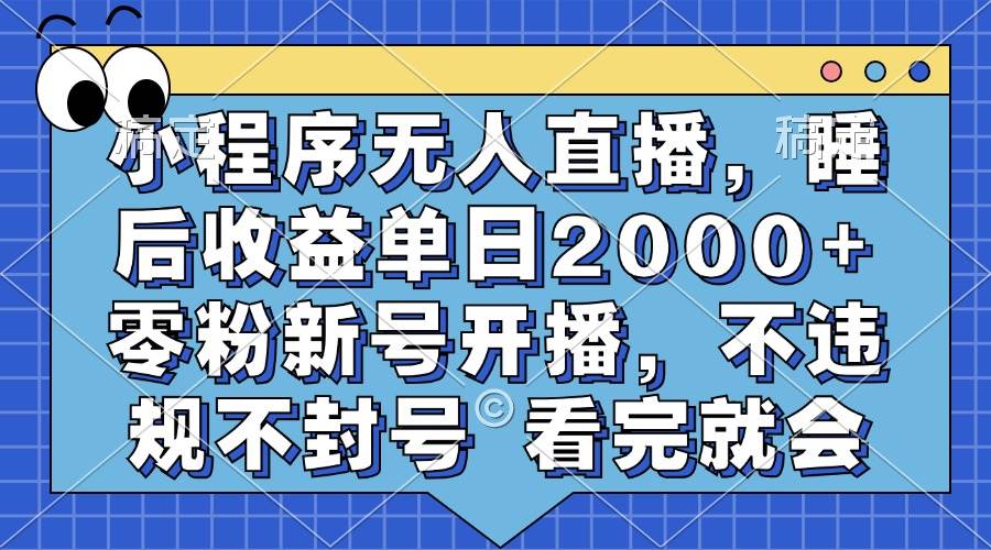 （13251期）小程序无人直播，睡后收益单日2000+ 零粉新号开播，不违规不封号 看完就会-九才资源网