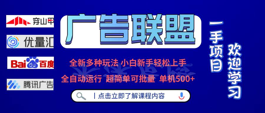 （13258期）广告联盟 全新多种玩法 单机500+  全自动运行  可批量运行-九才资源网
