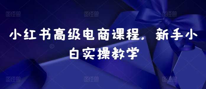小红书高级电商课程，新手小白实操教学-九才资源网