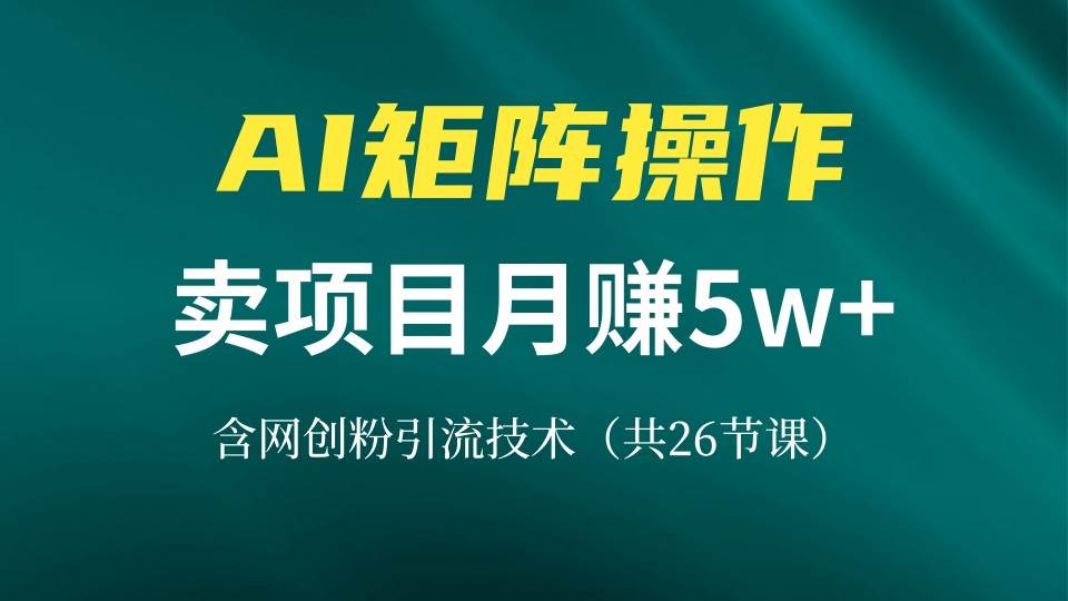 （13335期）网创IP打造课，借助AI卖项目月赚5万+，含引流技术（共26节课）-九才资源网