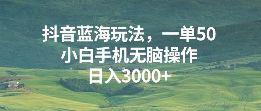 （13353期）抖音蓝海玩法，一单50，小白手机无脑操作，日入3000+-九才资源网