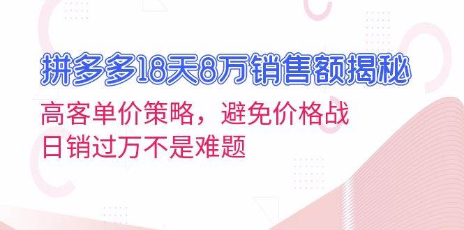 （13383期）拼多多18天8万销售额揭秘：高客单价策略，避免价格战，日销过万不是难题-九才资源网