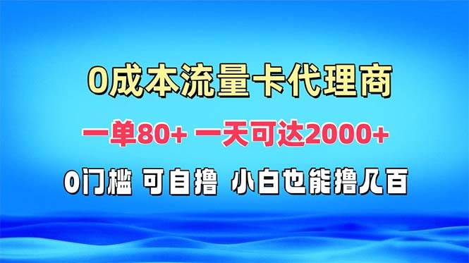 （13391期）免费流量卡代理一单80+ 一天可达2000+-九才资源网